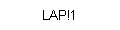 LAP!1