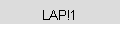 LAP!1